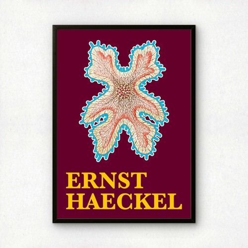 Ernst haeckel remixed art - haeckel,
