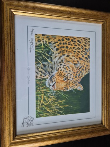 Stephen gayford wild about art - stephen,