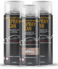 Aerosol Spray Paint Kit For