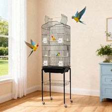 Black playtop parrot - black, with