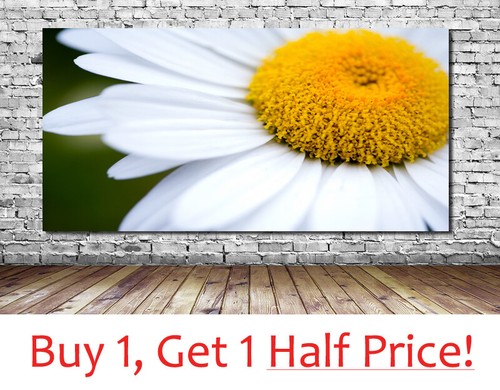 Daisy canvas wall art print - daisy,