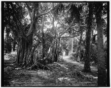 Bicycle path to ostrich farm