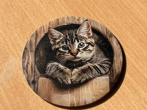 Cat fridge magnet - cat,