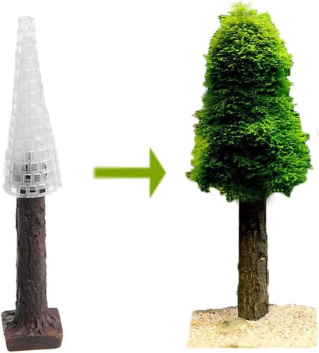 Christmas moss mould grow - moss, mould,