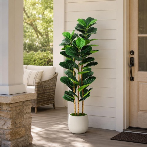 For artificial fiddle leaf - for,