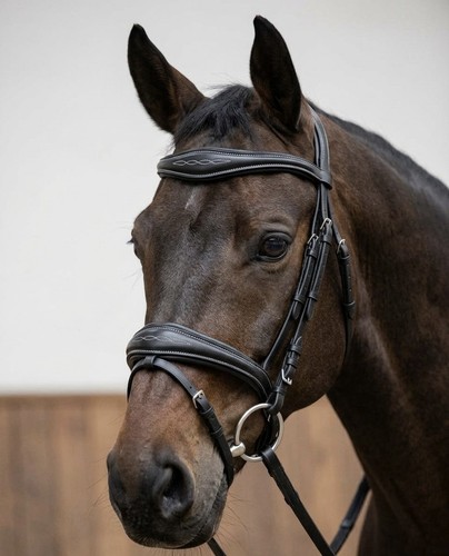 Competition bridle poll relief - competition,