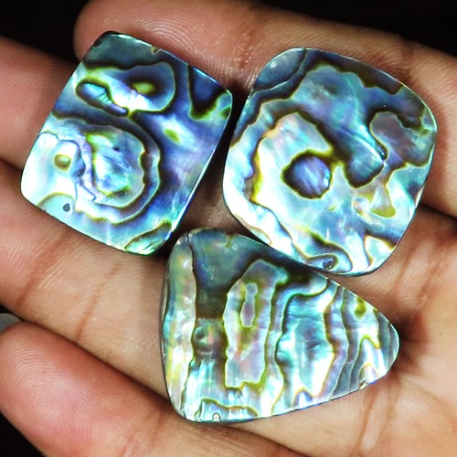 100 natural abalone shell - 100%,