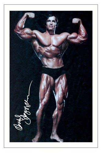 Arnold schwarzenegger signed - arnold,