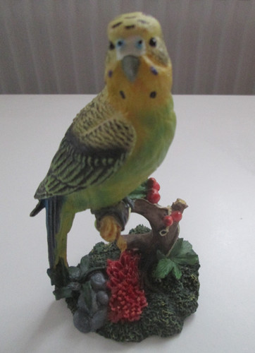 Realistic looking budgerigar - realistic,