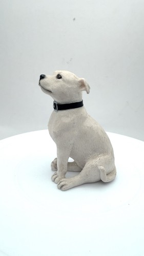 Vintage white pit bull terrier - vintage,