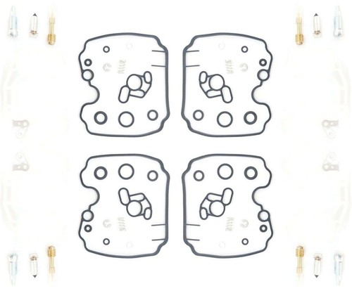 Carburetor repair kit - repair, for