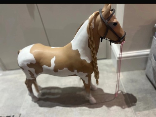 Our generation horse - our, photo