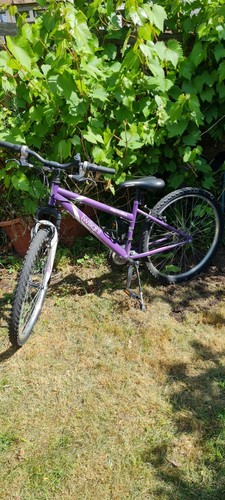 Apollo twilight mountain bike - twilight,