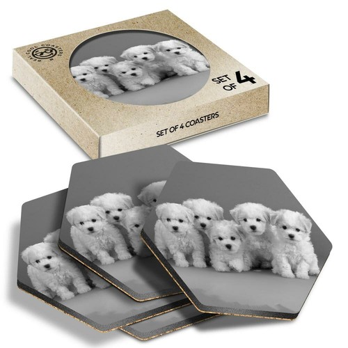 Hexagon coasters bw - x,