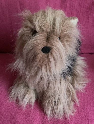 Chosun yorkie yorkshire - yorkie,
