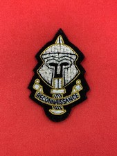 SPECIAL RECONNAISSANCE