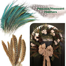 10 x Natural Pheasant/Peacock