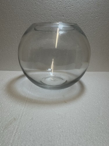 Glass fish bowl terrarium - bowl,