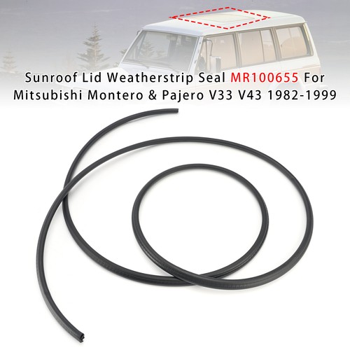 Sunroof weatherstrip seal - weatherstrip,