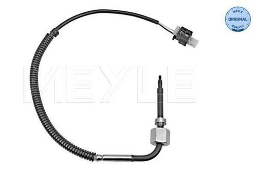 Exhaust gas temperature - gas, sensor