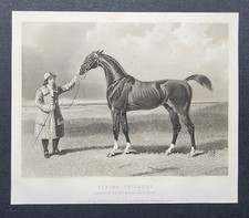 Antique 1841 Print - Horse