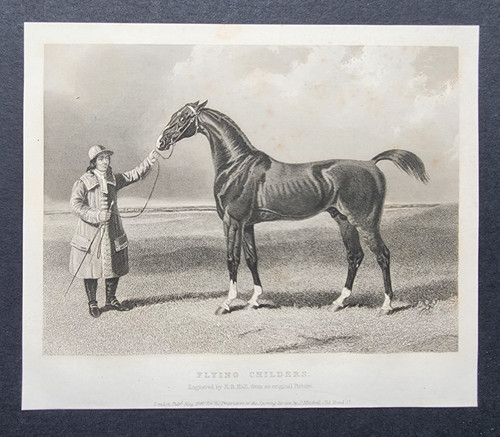 Antique 1841 print - 1841, horse