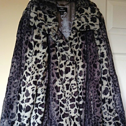 Dennis basso leopard - dennis,