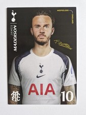 Tottenham hotspur James