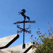 Metal rearing horse equine - horse,