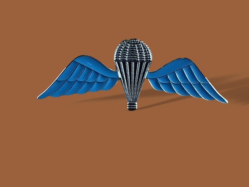 British military jump wings - military,