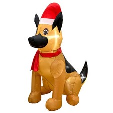 Outdoor Indoor Christmas