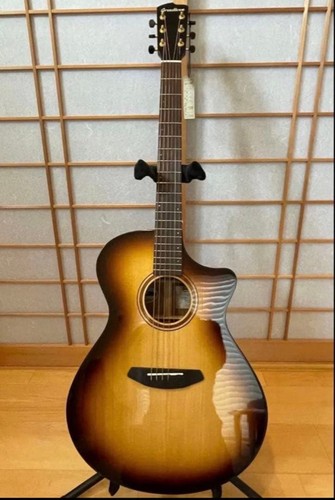 Breedlove artista pro concerto - pro,