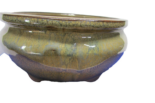 Bonsai tree pot - bonsai,