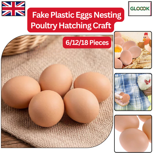Fake plastic eggs dummy - eggs,
