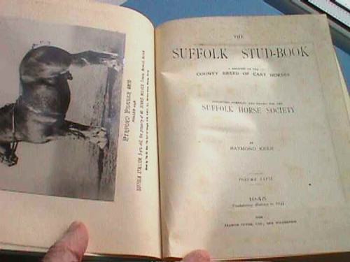 The suffolk stud - the, by