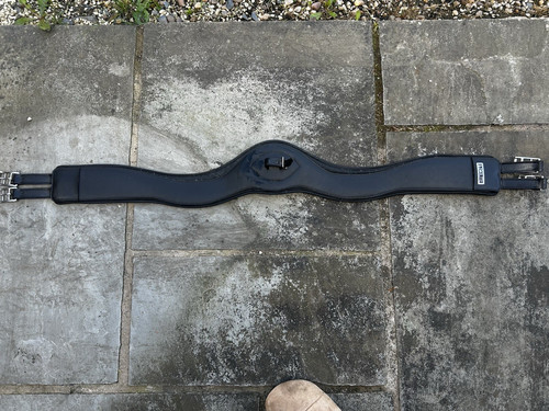 Prolite synthetic dressage - prolite,