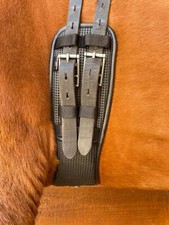 Preto Anatomical Dressage
