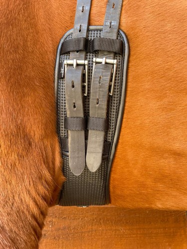 Preto anatomical dressage - anatomical,