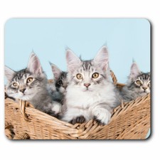 Computer Mouse Mat - Cute Maine Coon Kittens Cats Office Gift #16053