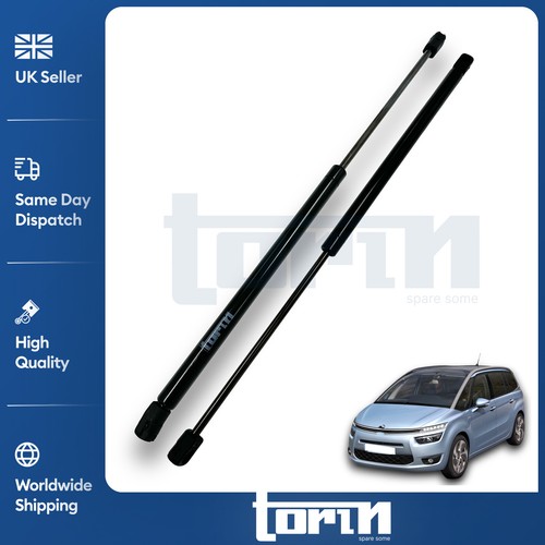 Rear tailgate boot gas - tailgate,