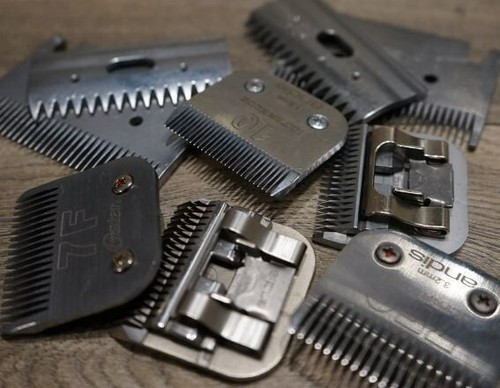 Clipper blade sharpening - clipper,