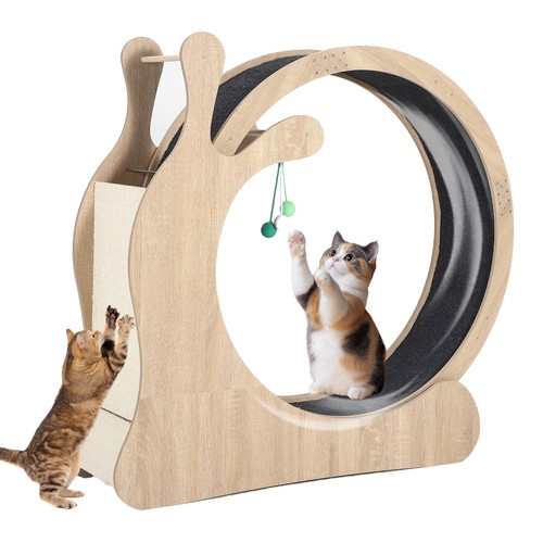 Cat exercise wheel large - exercise,