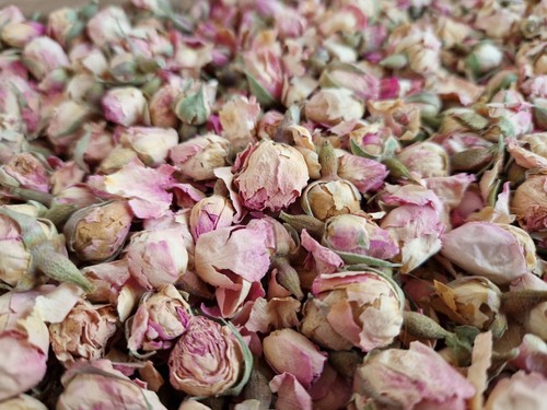 Dried pink rose - rose, for