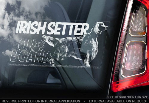 Irish setter car - irish, window