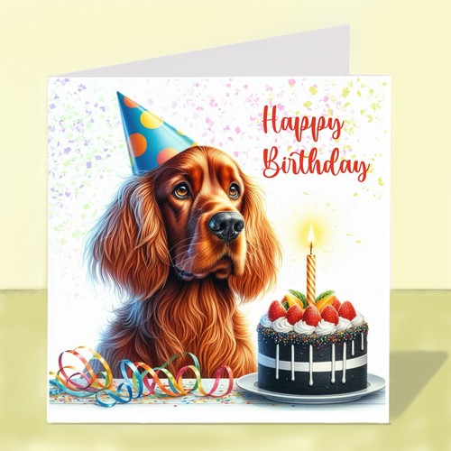 Irish setter dog - irish,