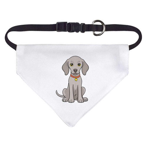 Weimaraner puppy dog cat - /,