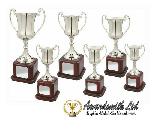 Large nickel plated - nickel, champions