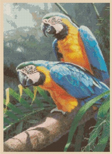 Macaws cross stitch chart - macaws,