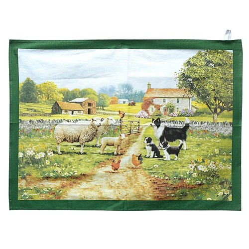 Border collie sheep cotton - &,