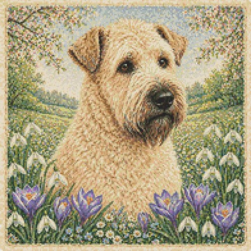 Soft coated wheaten terrier - coated,